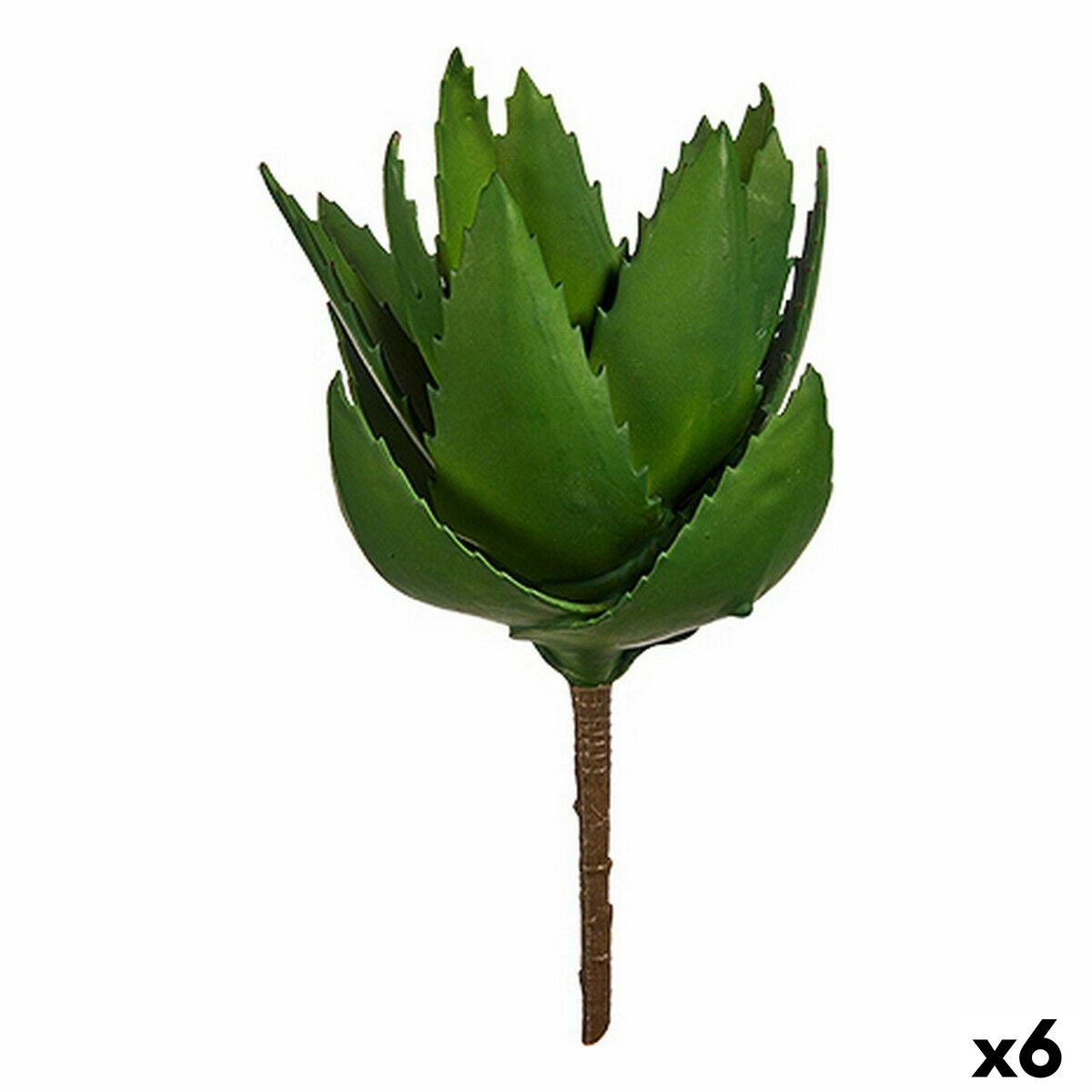 Dekorativ plante Aloe Vera 13 x 24,5 x 14 cm Grøn Plastik (6 enheder) Dekorativ plante Aloe Vera 13 x 24,5 x 14 cm Grøn Plastik (6 enheder)