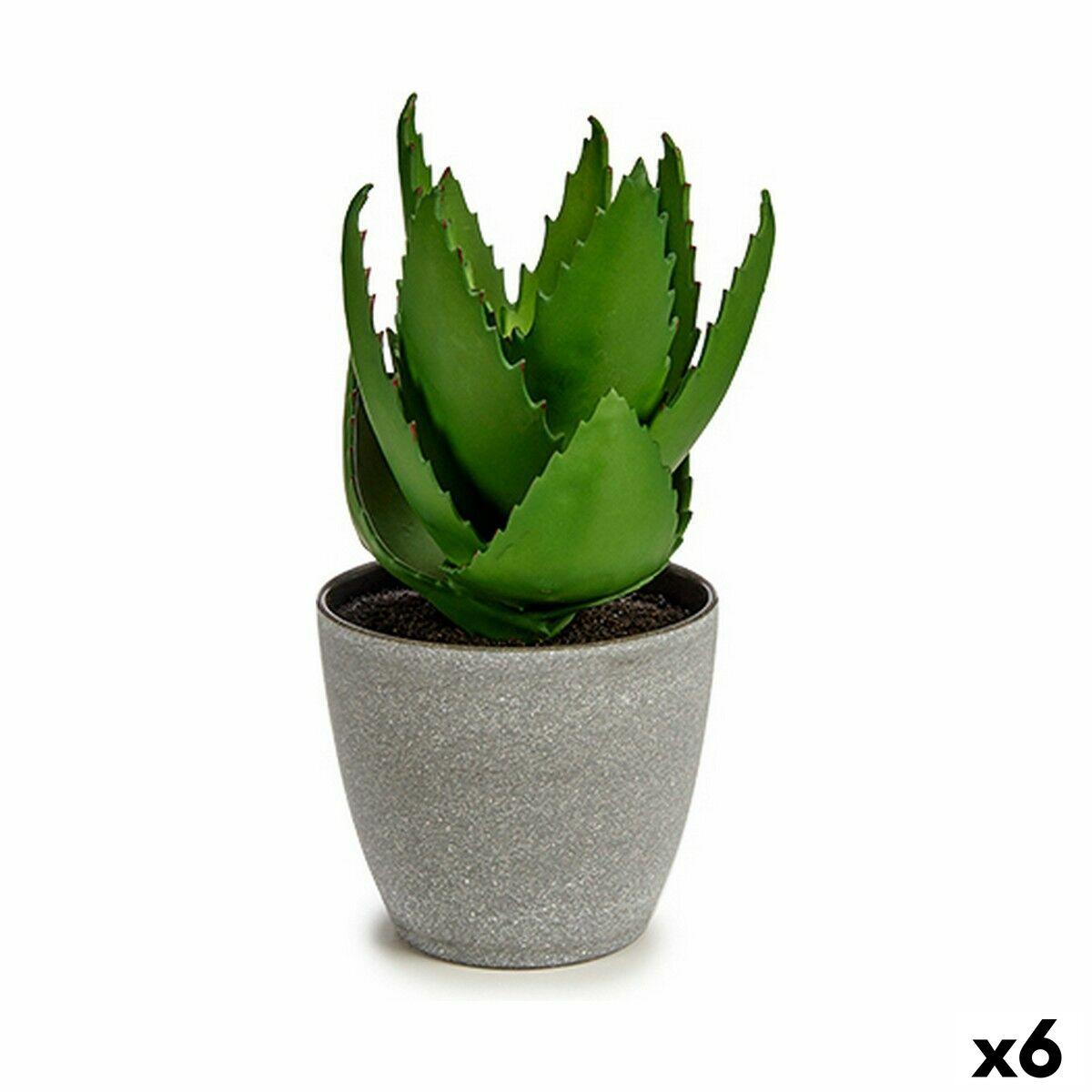 Dekorativ plante Aloe Vera 15 x 23,5 x 15 cm Grå Grøn Plastik (6 enheder) Dekorativ plante Aloe Vera 15 x 23,5 x 15 cm Grå Grøn Plastik (6 enheder)