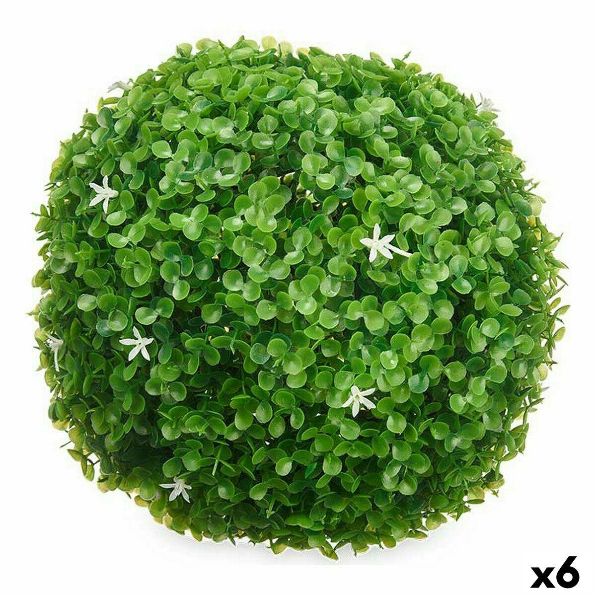 Dekorativ plante Ark Cvetlice Krogla Plastik 27 x 27 x 27 cm (6 enheder) Dekorativ plante Ark Cvetlice Krogla Plastik 27 x 27 x 27 cm (6 enheder)