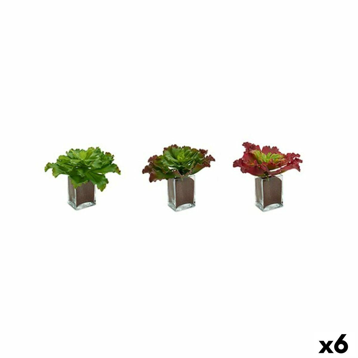 Dekorativ plante Ark Stor To-farvet Plastik 31 x 24 x 31 cm (6 enheder) Dekorativ plante Ark Stor To-farvet Plastik 31 x 24 x 31 cm (6 enheder)