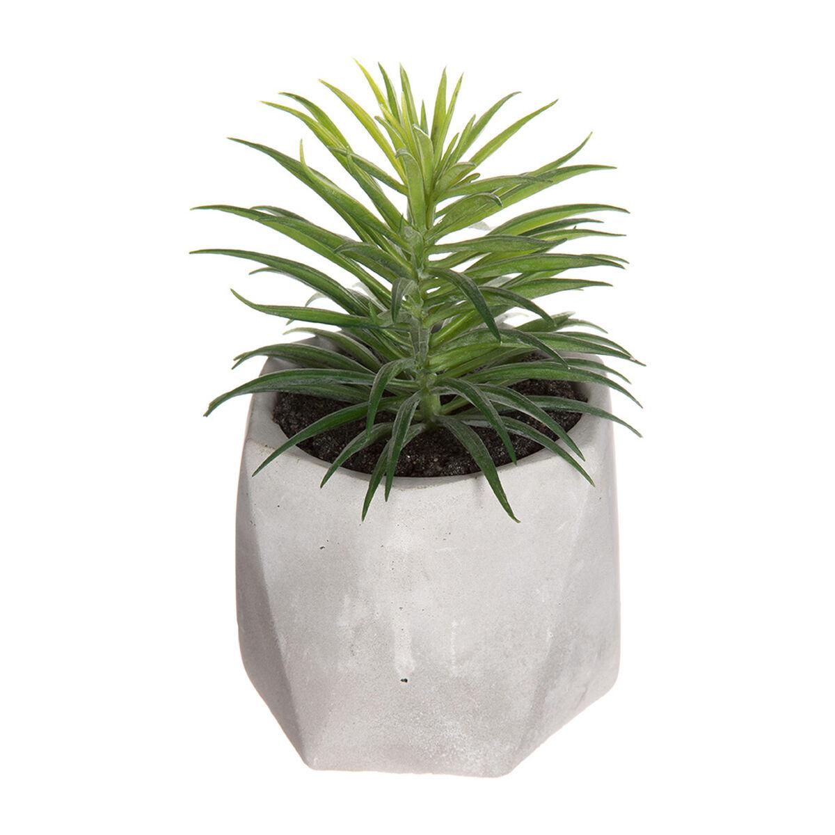 Dekorativ plante Atmosphera 7 x 14 cm Grøn PVC Dekorativ plante Atmosphera 7 x 14 cm Grøn PVC