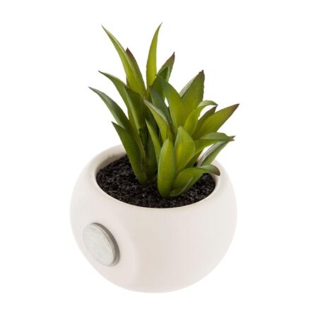 Dekorativ plante Atmosphera Magnet Grøn PVC