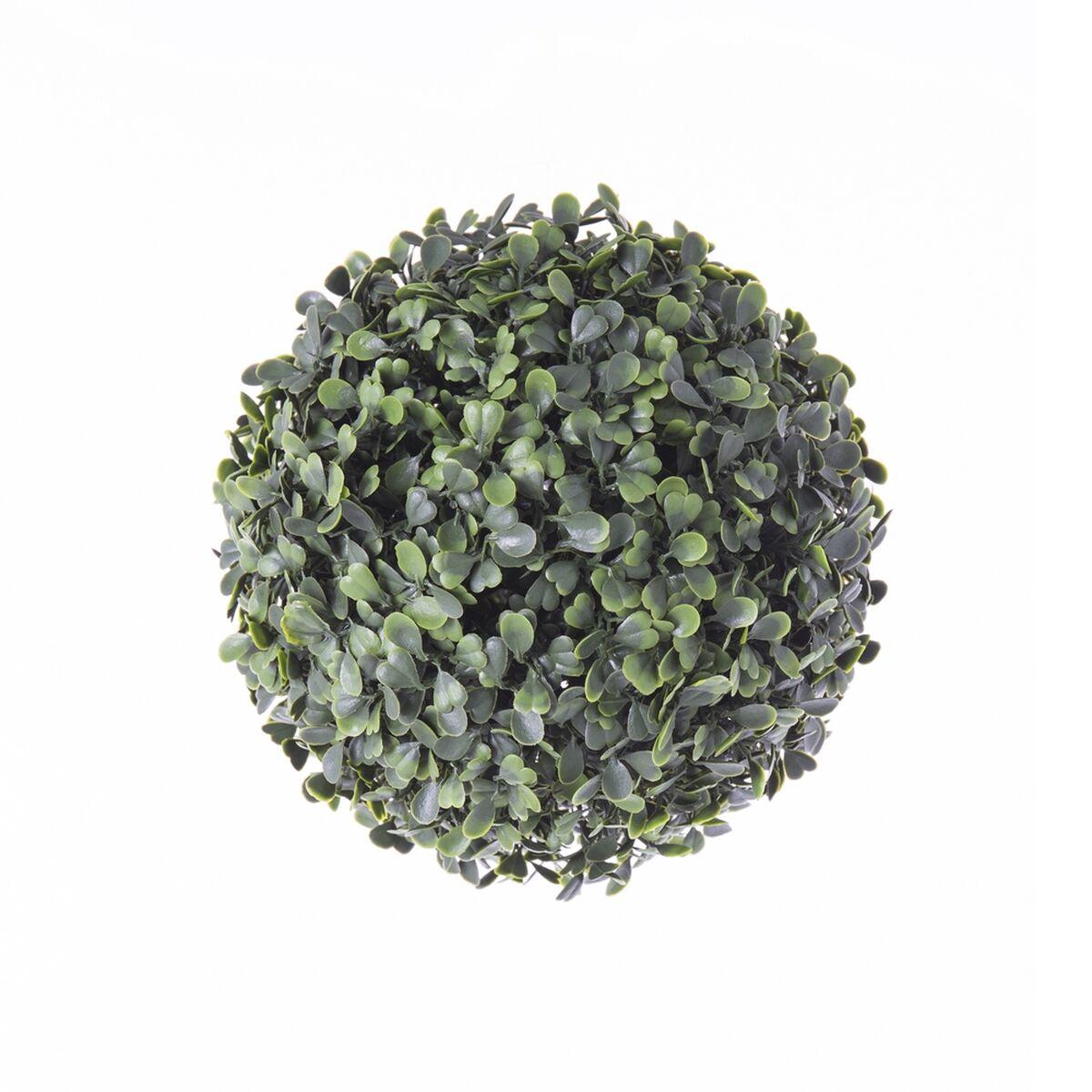 Dekorativ plante Boj Krogla 20 x 20 x 20 cm Dekorativ plante Boj Krogla 20 x 20 x 20 cm