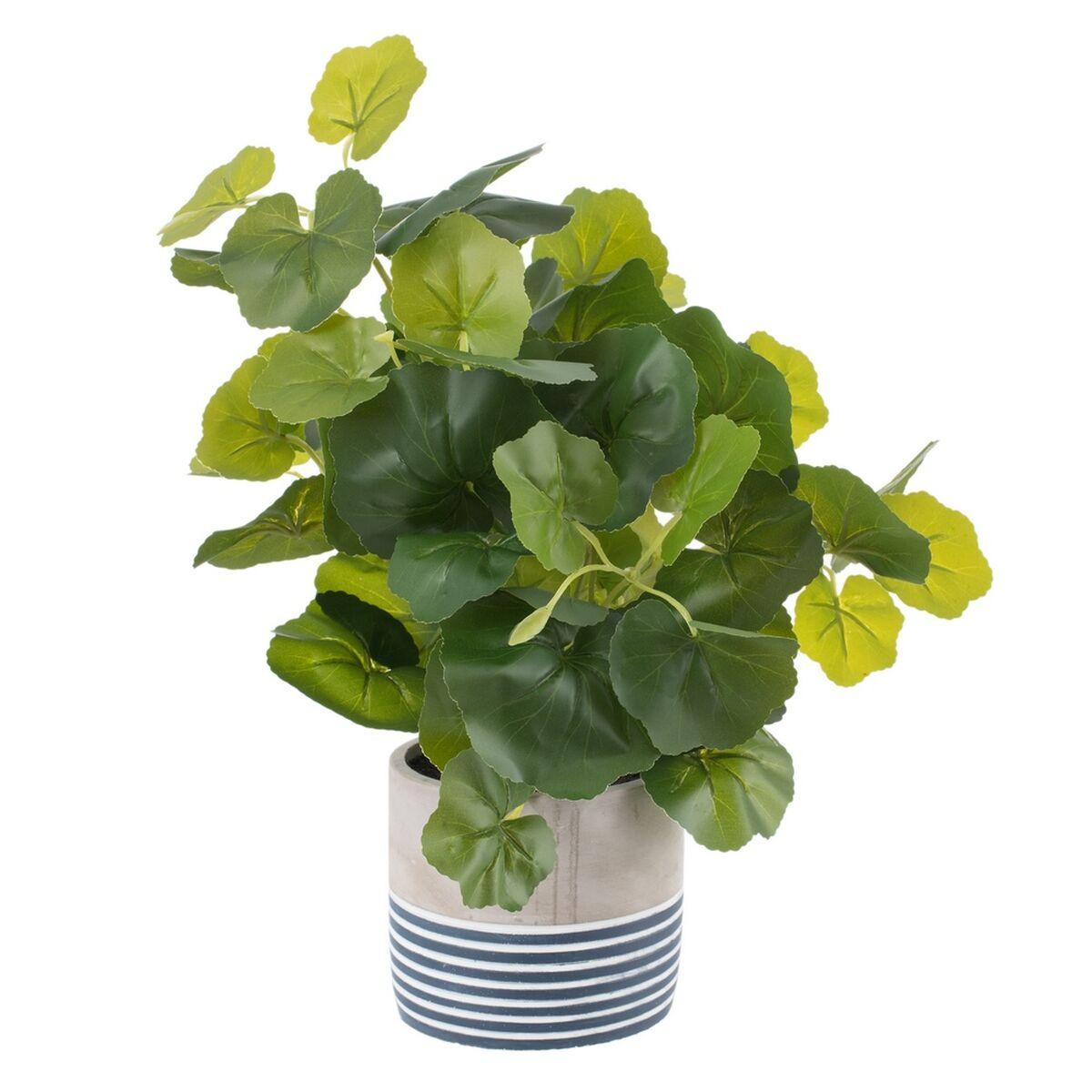 Dekorativ plante Cement PEVA Ark 11,5 x 11,5 x 39 cm Dekorativ plante Cement PEVA Ark 11,5 x 11,5 x 39 cm