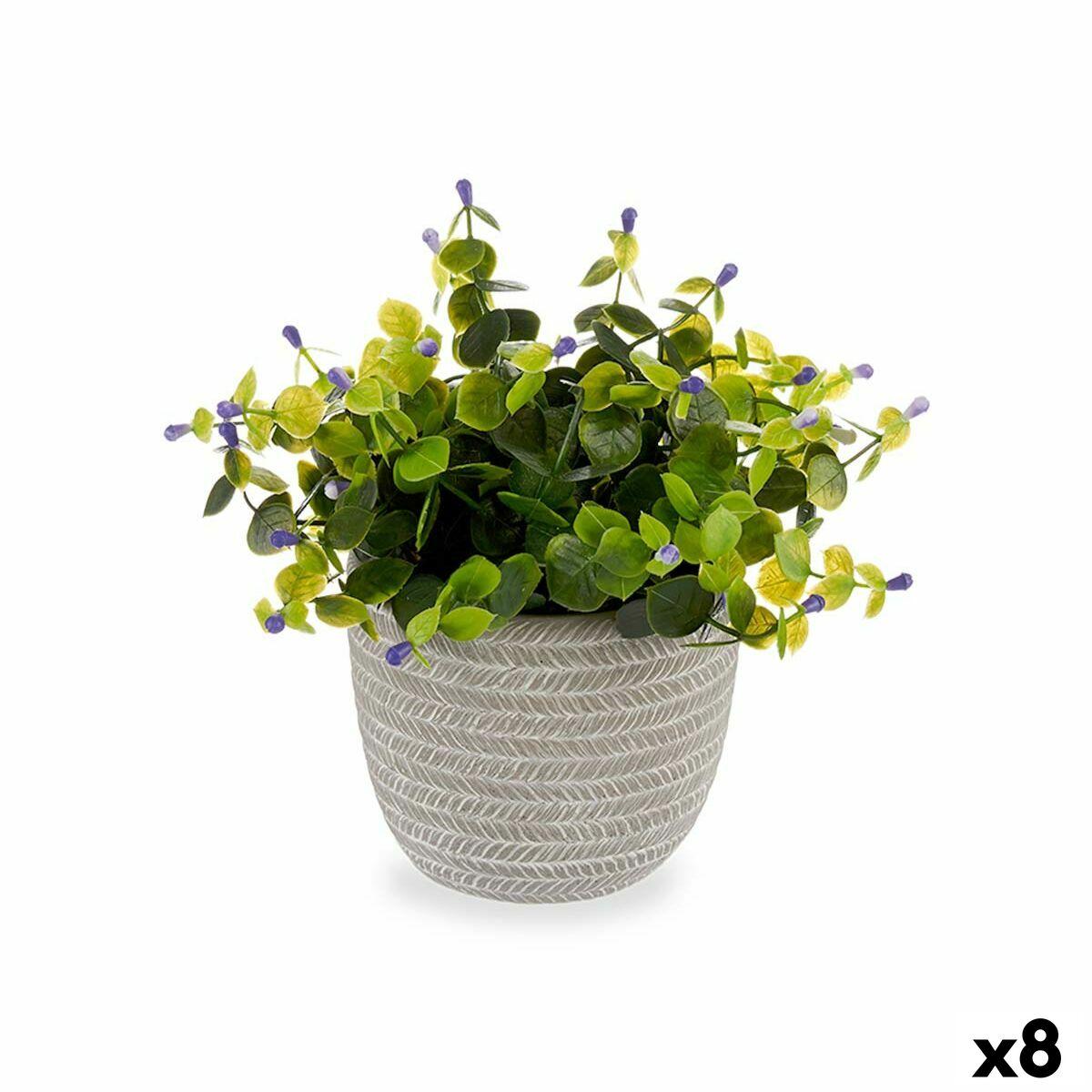 Dekorativ plante Cvetlice Plastik 21 x 20,6 x 21 cm (8 enheder) Dekorativ plante Cvetlice Plastik 21 x 20,6 x 21 cm (8 enheder)