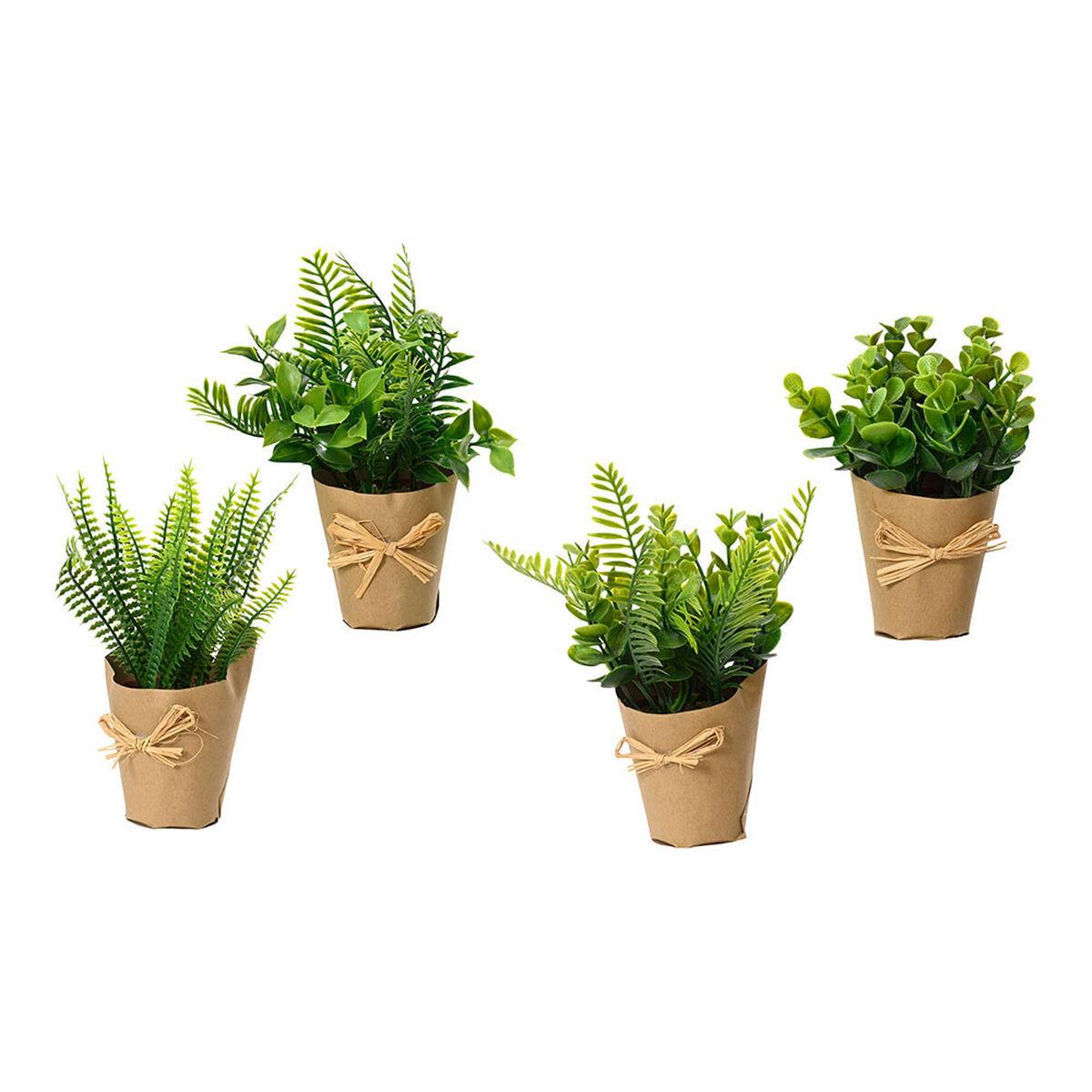 Dekorativ plante EDM 18 cm Dekorativ plante EDM 18 cm