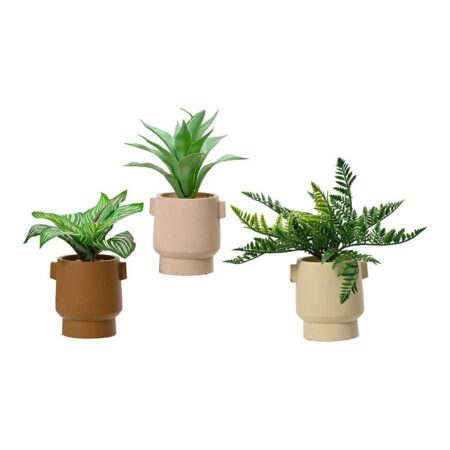 Dekorativ plante EDM 808559 Urtepotte 25 cm