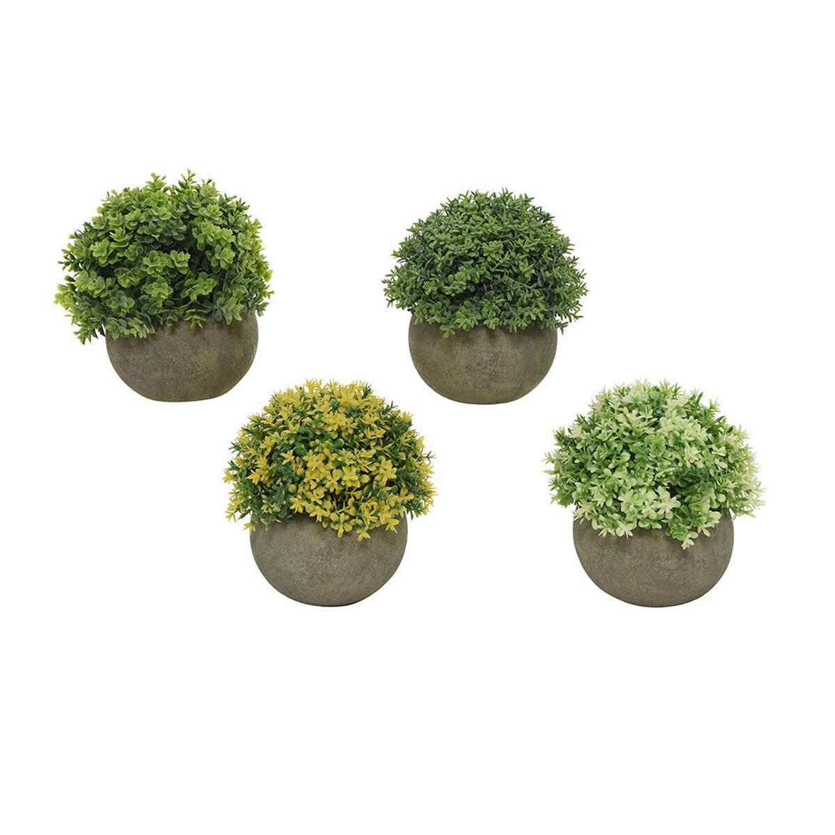 Dekorativ plante Everlands Ø 12 cm Urtepotte Plastik Dekorativ plante Everlands Ø 12 cm Urtepotte Plastik