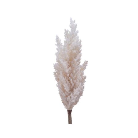 Dekorativ plante Everlands Pampas (Ø 9 x 90 cm)