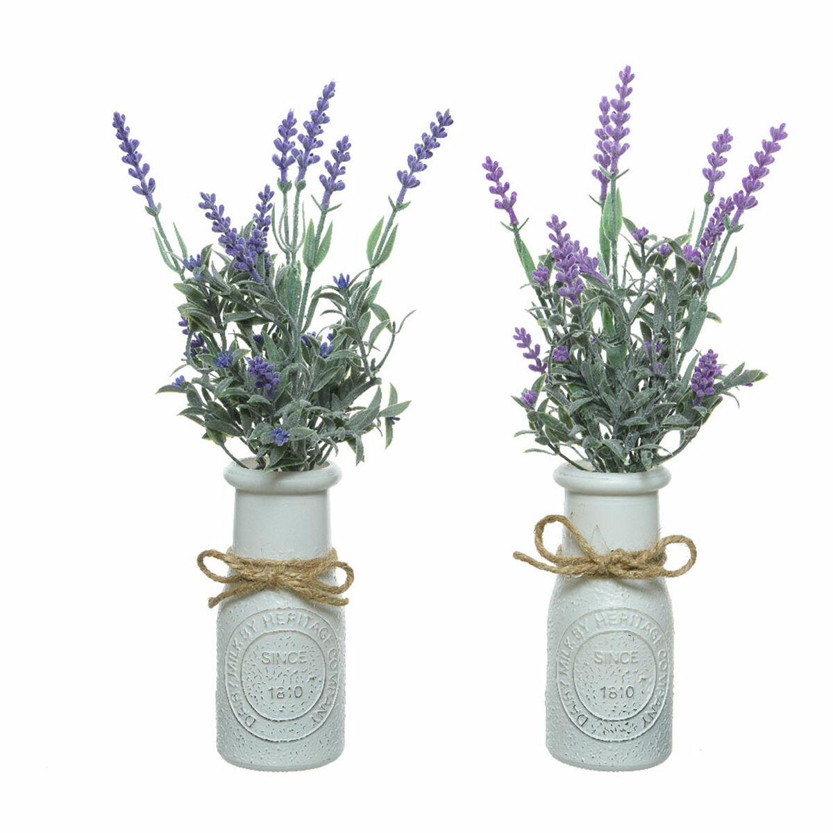 Dekorativ plante Everlands Urtepotte Lavendel (Ø 13 x 32 cm) Dekorativ plante Everlands Urtepotte Lavendel (Ø 13 x 32 cm)