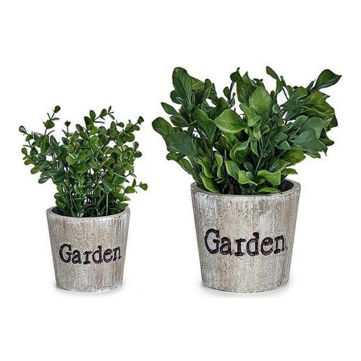 Dekorativ plante Grøn Plastik 16 x 22 x 16 cm Dekorativ plante Grøn Plastik 16 x 22 x 16 cm