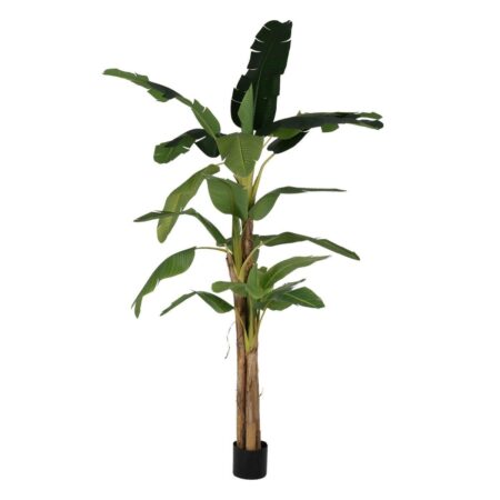 Dekorativ plante Gummi Bananplante 120 x 120 x 280 cm