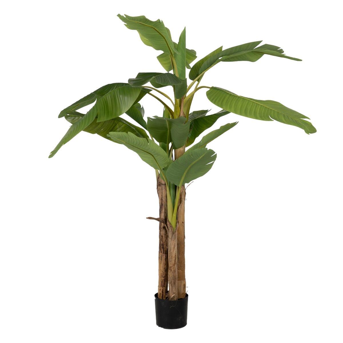 Dekorativ plante Gummi Bananplante 70 x 70 x 200 cm Dekorativ plante Gummi Bananplante 70 x 70 x 200 cm