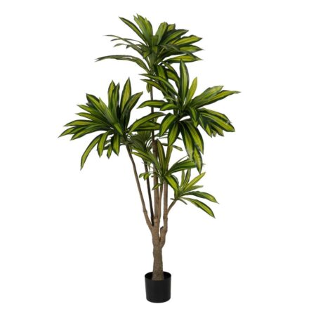 Dekorativ plante Gummi polypropylen 100 x 100 x 200 cm
