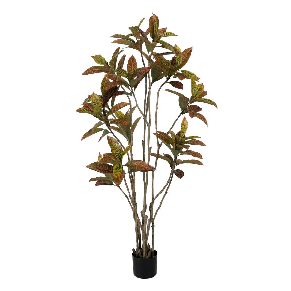 Dekorativ plante Gummi polypropylen 60 x 60 x 150 cm Dekorativ plante Gummi polypropylen 60 x 60 x 150 cm