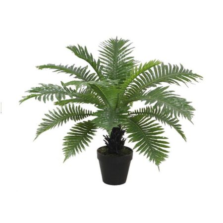 Dekorativ plante Home ESPRIT PVC Bregne 80 x 80 x 60 cm