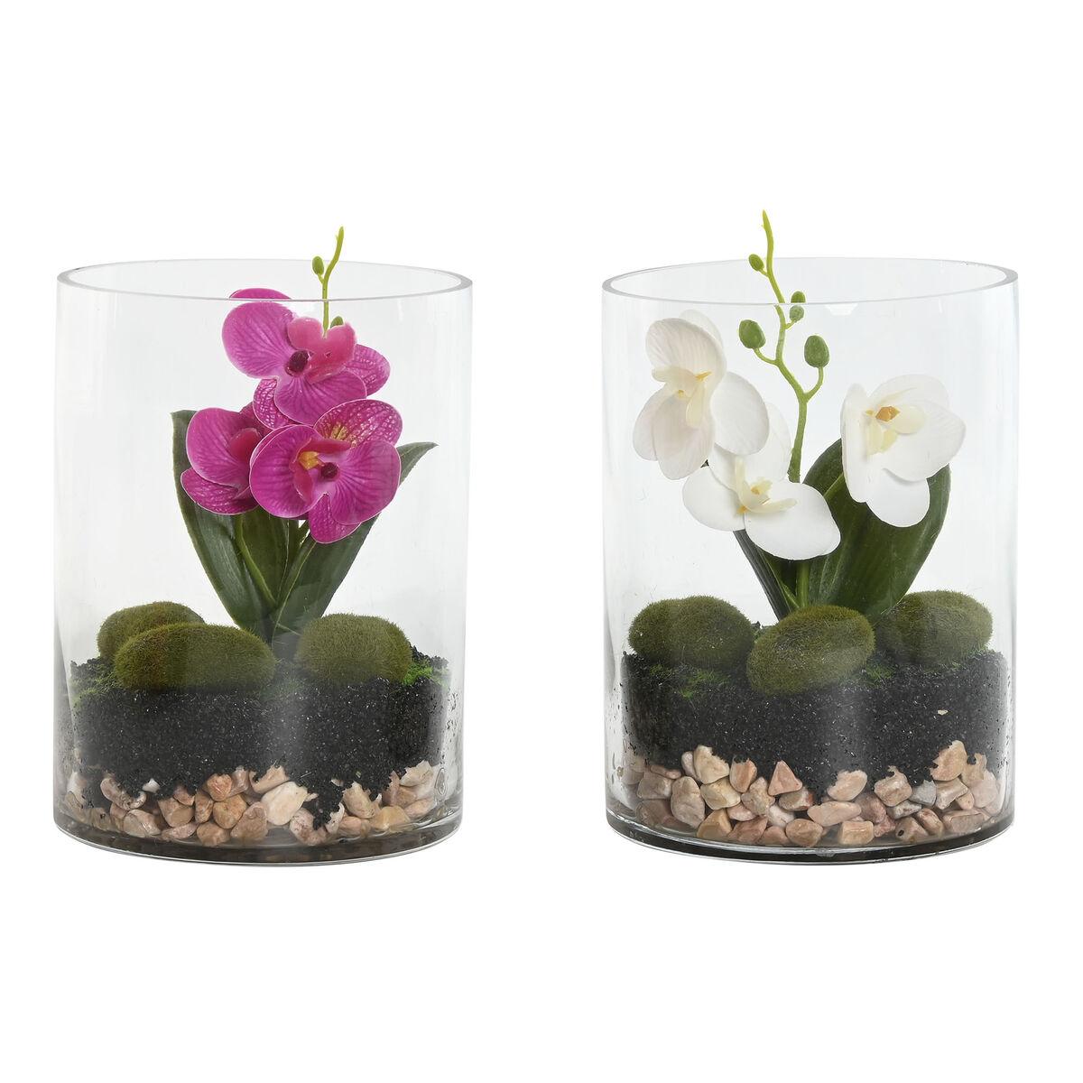 Dekorativ plante Home ESPRIT PVC Krystal 15 x 15 x 20 cm (2 enheder) Dekorativ plante Home ESPRIT PVC Krystal 15 x 15 x 20 cm (2 enheder)