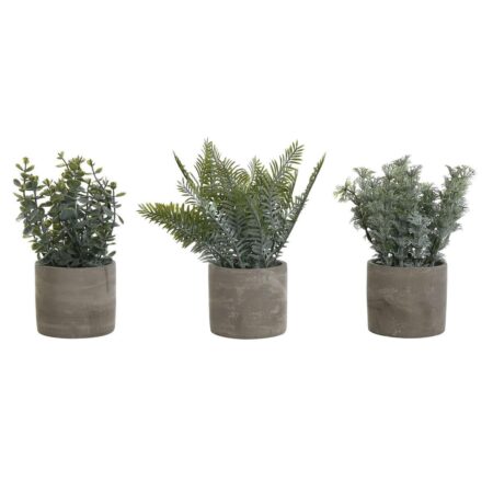 Dekorativ plante Home ESPRIT Polyetylen Cement 13 x 13 x 24 cm (3 enheder)