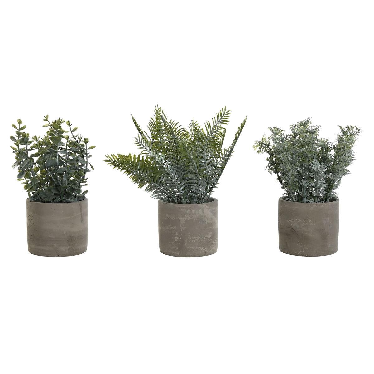 Dekorativ plante Home ESPRIT Polyetylen Cement 13 x 13 x 24 cm (3 enheder) Dekorativ plante Home ESPRIT Polyetylen Cement 13 x 13 x 24 cm (3 enheder)