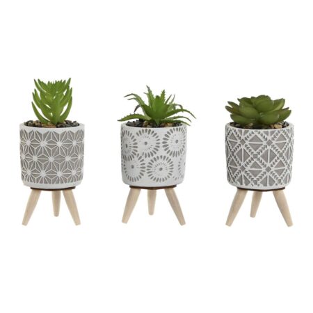 Dekorativ plante Home ESPRIT Polyetylen Cement 6,5 x 6,5 x 11 cm (3 enheder)