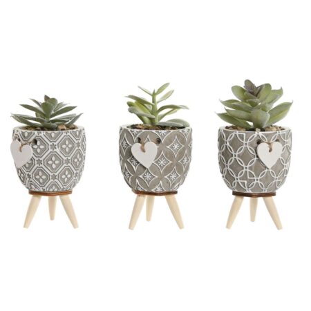 Dekorativ plante Home ESPRIT Polyetylen Cement 9,5 x 9,5 x 12 cm (3 enheder)