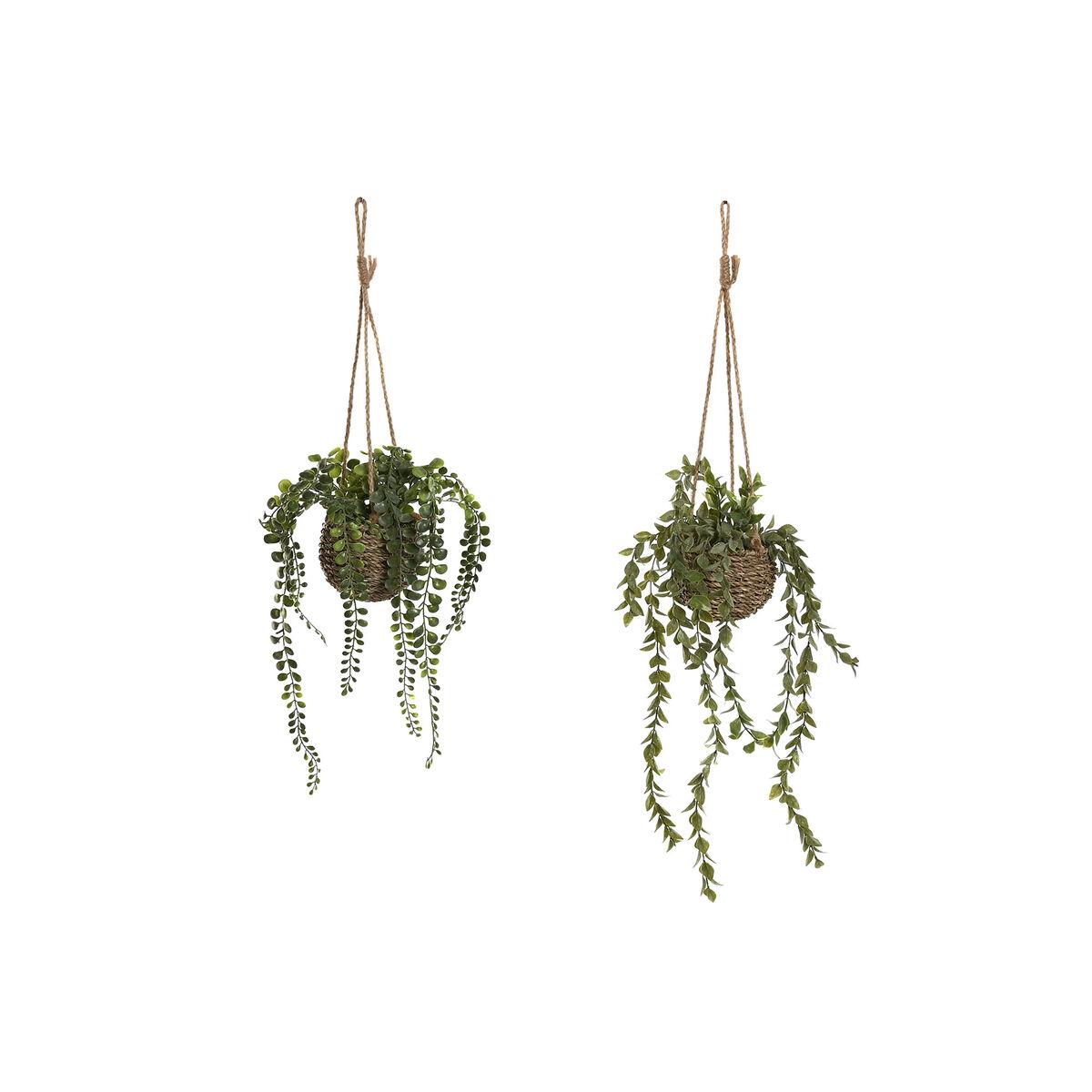 Dekorativ plante Home ESPRIT Polyetylen Fiber 16 x 16 x 70 cm (2 enheder) Dekorativ plante Home ESPRIT Polyetylen Fiber 16 x 16 x 70 cm (2 enheder)