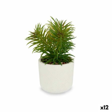 Dekorativ plante Hvid Grøn (14 x 20 x 14 cm) (12 enheder)
