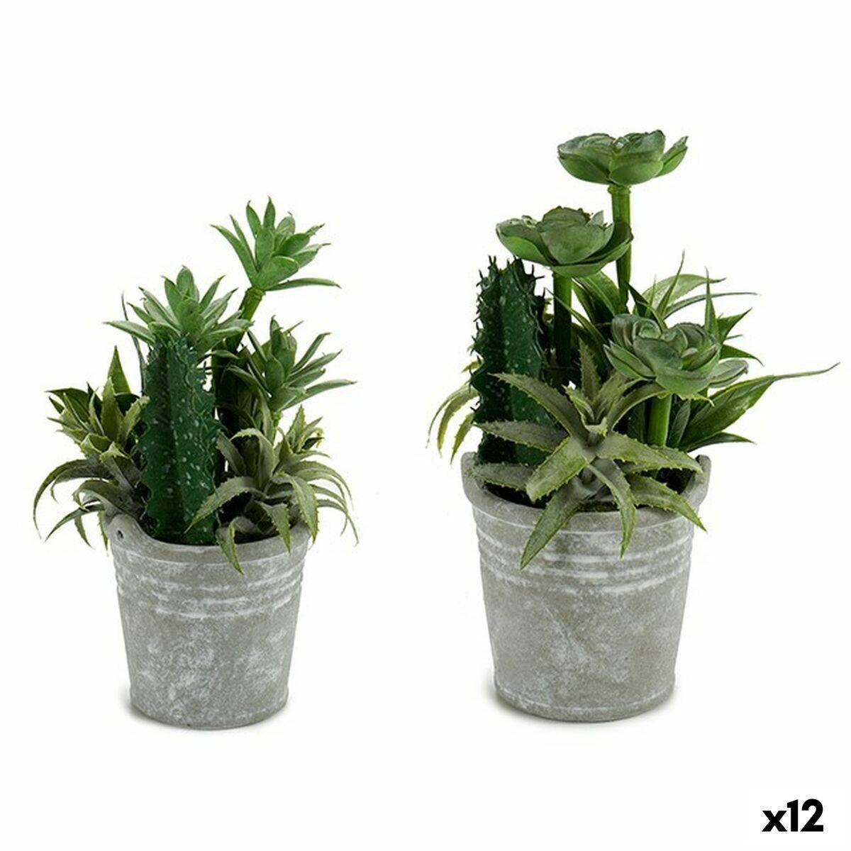 Dekorativ plante Ibergarden XD18-1182A-B Plastik Cement 15 x 24 x 15 cm (12 enheder) Dekorativ plante Ibergarden XD18-1182A-B Plastik Cement 15 x 24 x 15 cm (12 enheder)