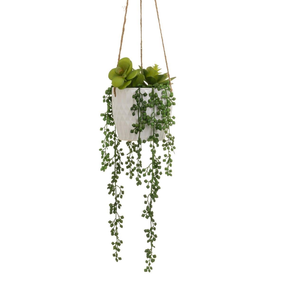 Dekorativ plante Keramik Polyetylen 14 x 14 x 40 cm Dekorativ plante Keramik Polyetylen 14 x 14 x 40 cm