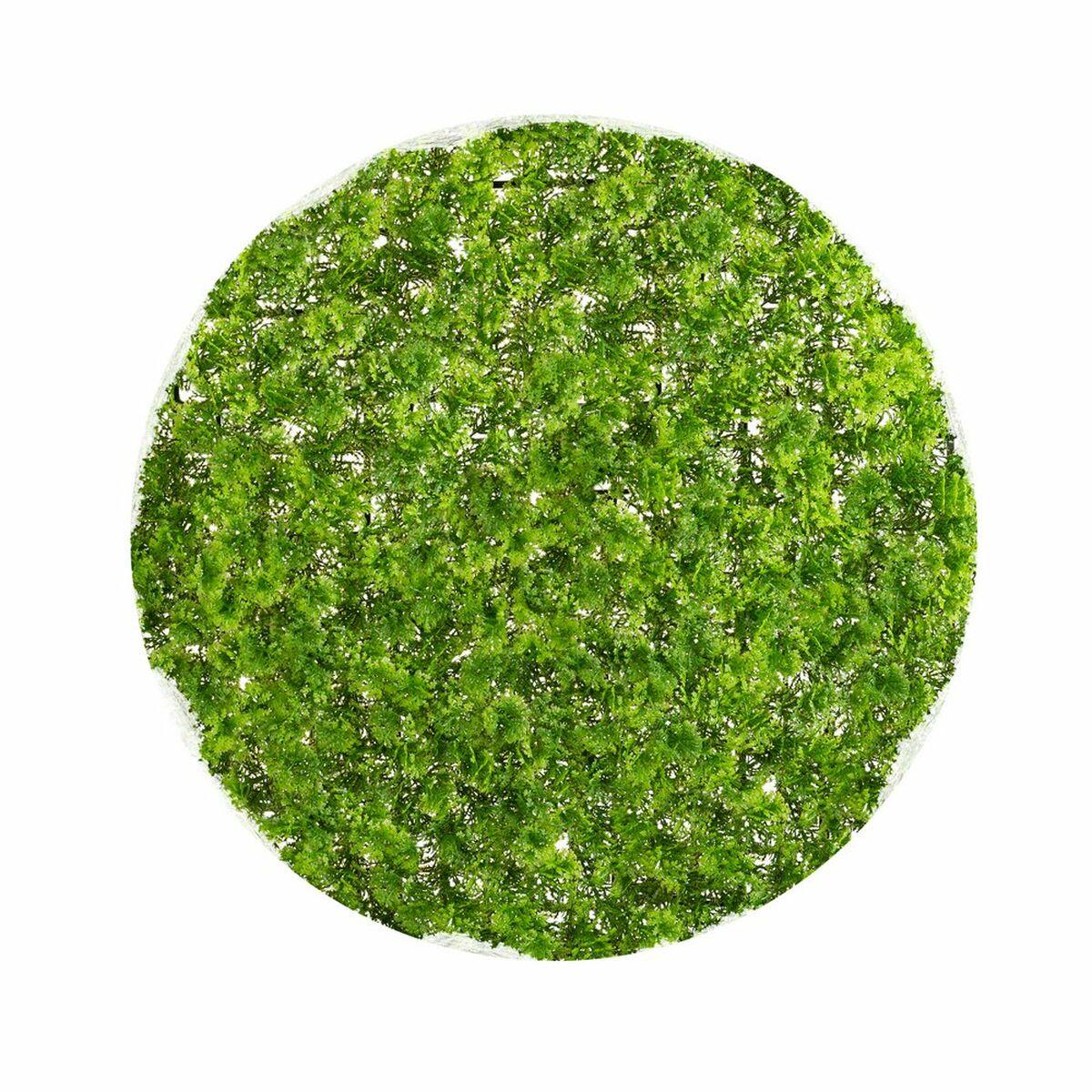 Dekorativ plante Krogla Mosser 30 x 30 x 30 cm Dekorativ plante Krogla Mosser 30 x 30 x 30 cm