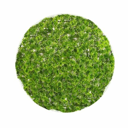 Dekorativ plante Krogla Mosser 30 x 30 x 30 cm