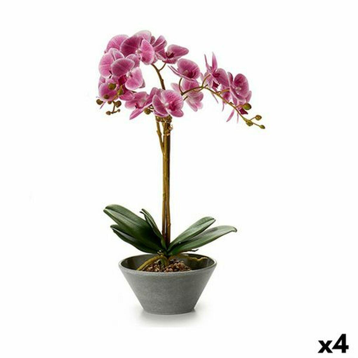 Dekorativ plante (OUTLET B) Dekorativ plante (OUTLET B)