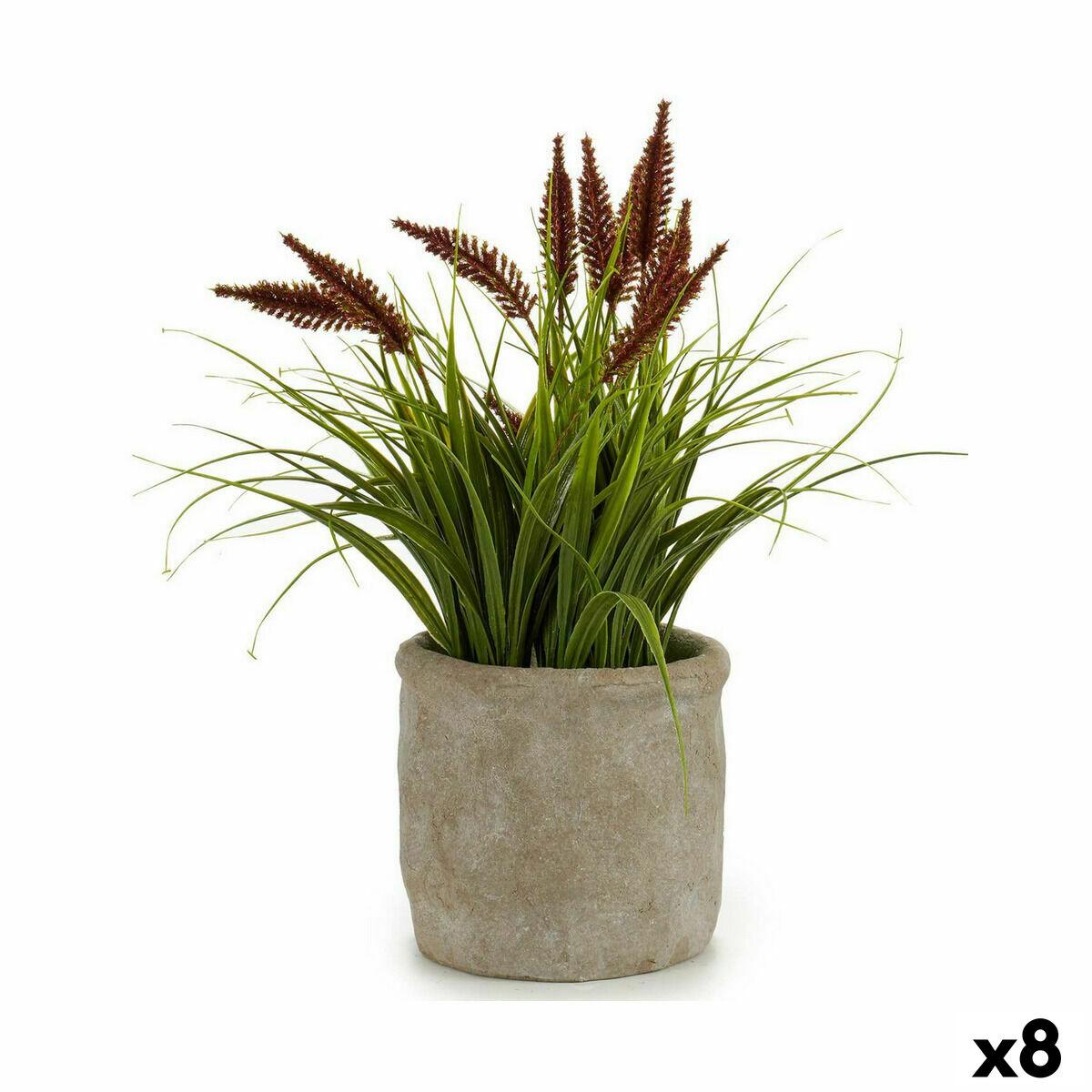 Dekorativ plante Øre (af hvede) Plastik 12 x 30 x 12 cm (8 enheder) Dekorativ plante Øre (af hvede) Plastik 12 x 30 x 12 cm (8 enheder)