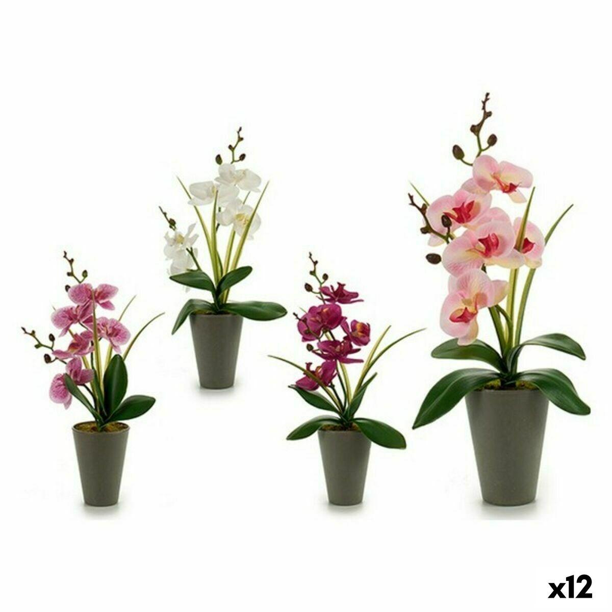 Dekorativ plante Orkide Plastik 8 x 35 x 14 cm (12 enheder) Dekorativ plante Orkide Plastik 8 x 35 x 14 cm (12 enheder)