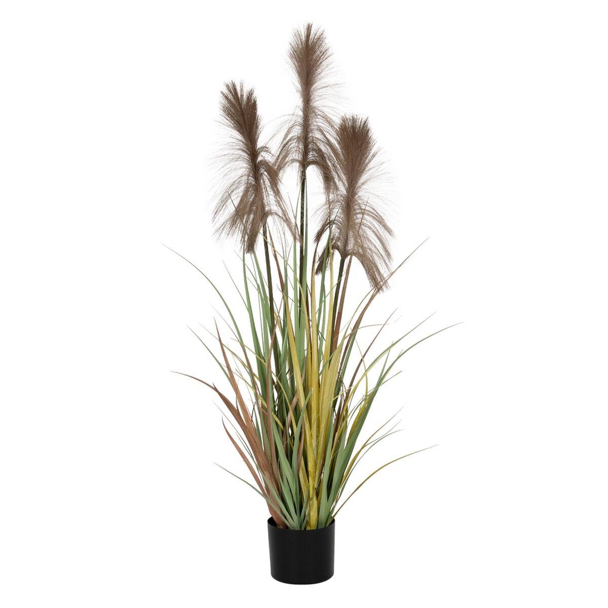 Dekorativ plante PVC Cement Materiale 120 cm 14 x 14 x 12,5 cm Dekorativ plante PVC Cement Materiale 120 cm 14 x 14 x 12,5 cm