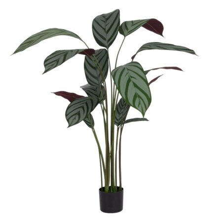 Dekorativ plante PVC Cement Materiale 40 x 40 x 150 cm
