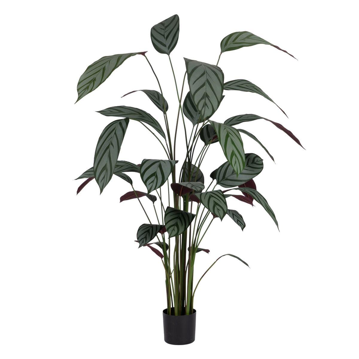 Dekorativ plante PVC Cement Materiale 50 x 50 x 220 cm Dekorativ plante PVC Cement Materiale 50 x 50 x 220 cm