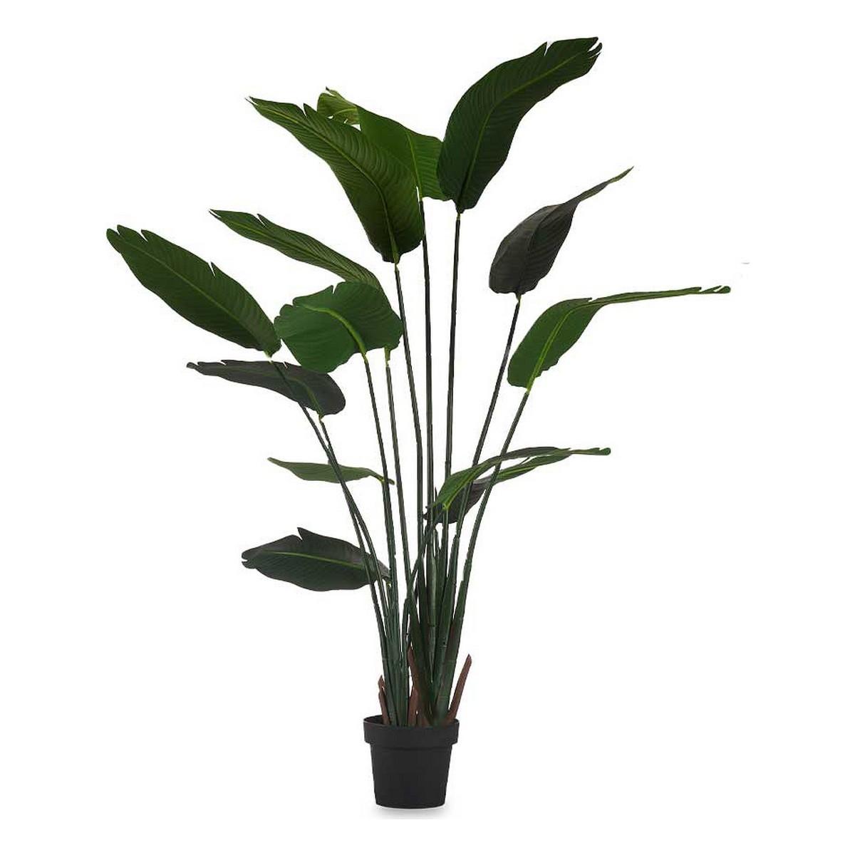 Dekorativ plante Paradisets fugl Grøn Plastik (130 x 160 x 130 cm) Dekorativ plante Paradisets fugl Grøn Plastik (130 x 160 x 130 cm)
