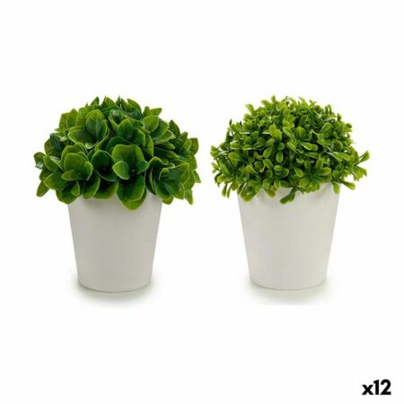 Dekorativ plante Plastik 13 x 17 x 13 cm (12 enheder)