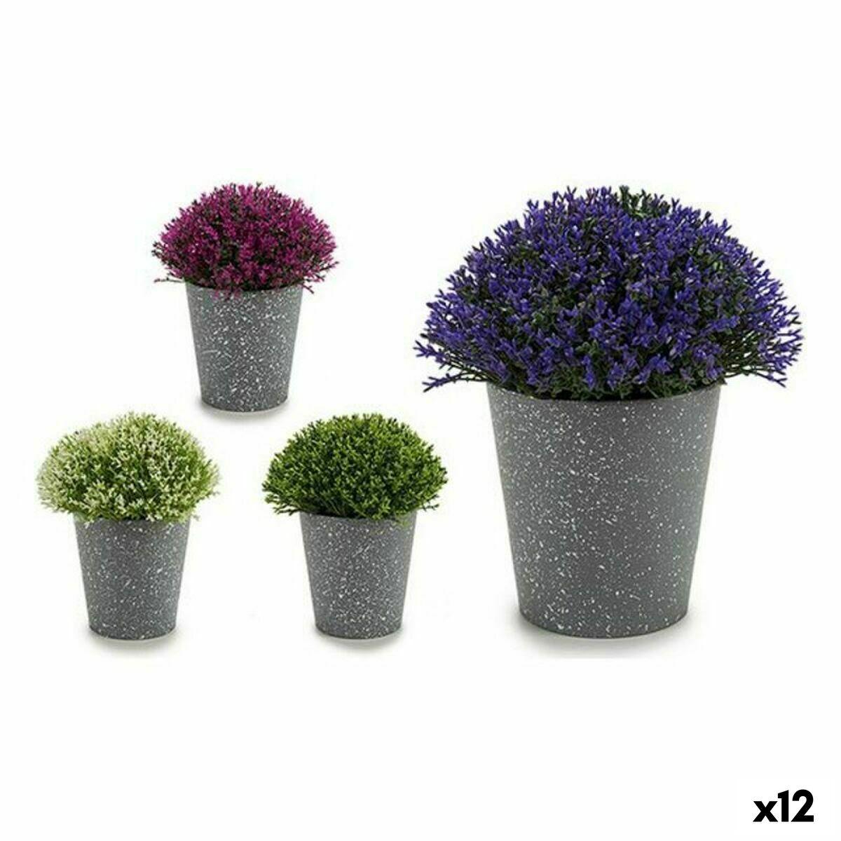 Dekorativ plante Plastik 14 x 15 x 14 cm (12 enheder) Dekorativ plante Plastik 14 x 15 x 14 cm (12 enheder)