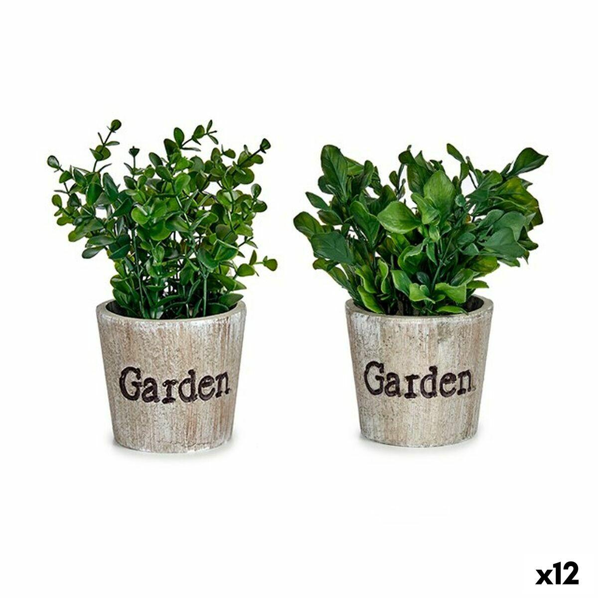 Dekorativ plante Plastik 16 x 22 x 16 cm (12 enheder) Dekorativ plante Plastik 16 x 22 x 16 cm (12 enheder)