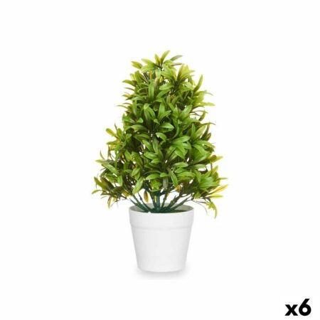 Dekorativ plante Plastik 18 x 35 x 16 cm (6 enheder)