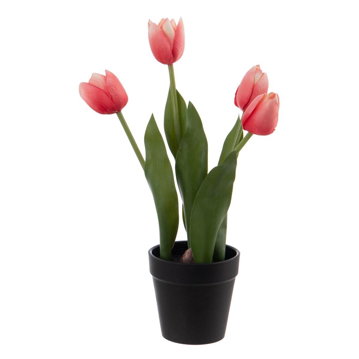 Dekorativ plante Polyester Polyetylen Jern 11 x 11 x 31 cm Dekorativ plante Polyester Polyetylen Jern 11 x 11 x 31 cm