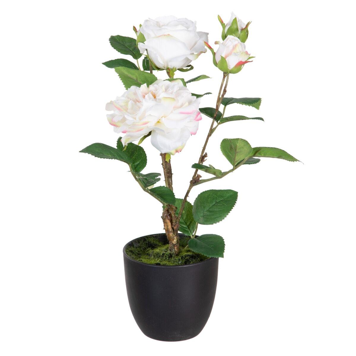 Dekorativ plante Polyester Polyetylen Jern Pink 27 x 27 x 38 cm Dekorativ plante Polyester Polyetylen Jern Pink 27 x 27 x 38 cm