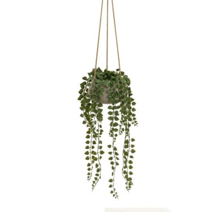 Dekorativ plante Polyetylen Cement 18 x 18 x 46 cm