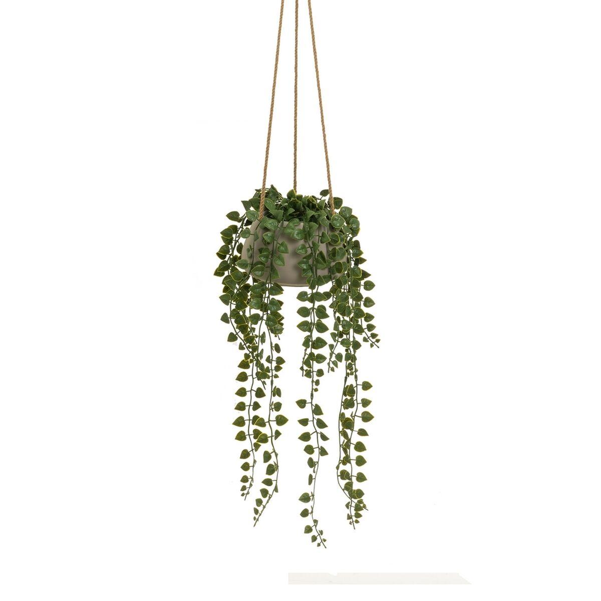 Dekorativ plante Polyetylen Cement 18 x 18 x 46 cm Dekorativ plante Polyetylen Cement 18 x 18 x 46 cm