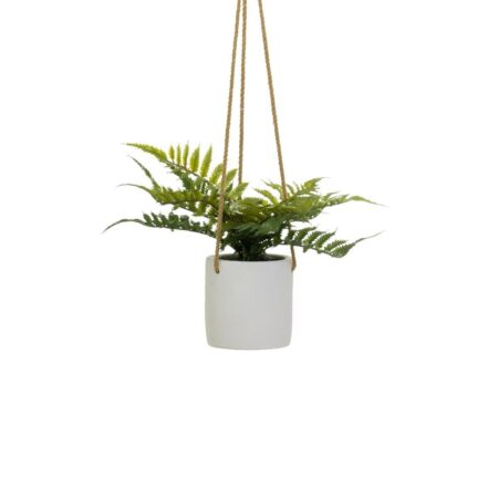 Dekorativ plante Polyetylen Cement 30 x 30 x 24 cm