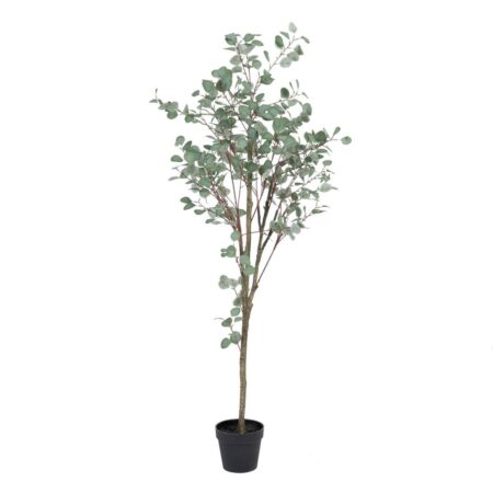 Dekorativ plante Polyetylen Eukalyptus 80 x 82 x 180 cm
