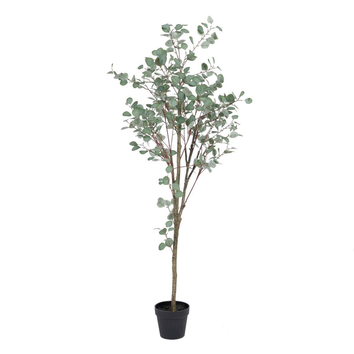 Dekorativ plante Polyetylen Eukalyptus 80 x 82 x 180 cm Dekorativ plante Polyetylen Eukalyptus 80 x 82 x 180 cm