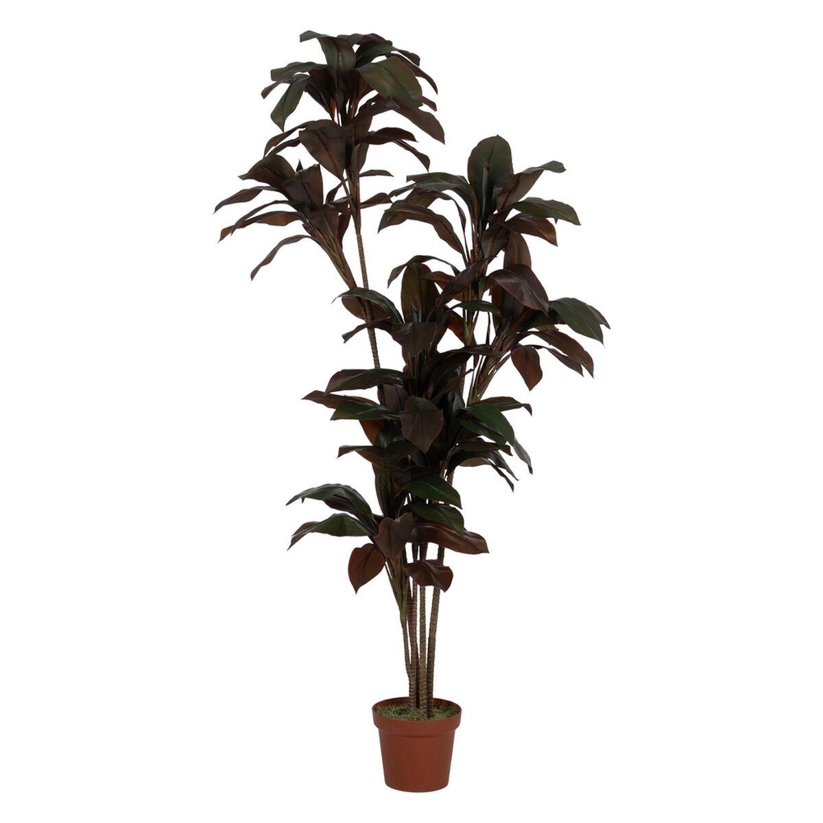 Dekorativ plante Polyetylen Jern Cement 45 x 45 x 170 cm Dekorativ plante Polyetylen Jern Cement 45 x 45 x 170 cm